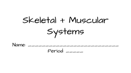 Skeletal + Muscular Systems