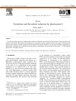 Ferredoxin and £Avodoxin Reduction by Photosystem I