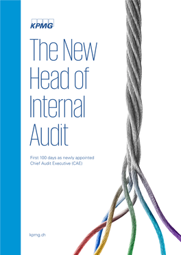 The New Head of Internal Audit