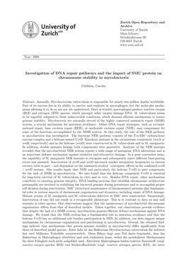 Investigation of DNA Repair Pathways and the Impact of SMC Protein on Chromosome Stability in Mycobacteria