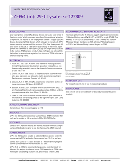 ZFP64 (M): 293T Lysate: Sc-127809