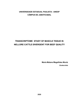 Transcriptome Study of Muscle Tissue in Nellore Cattle Divergent for Beef Quality