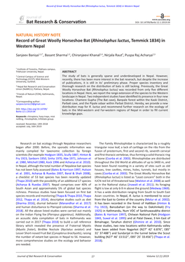 Bat Research & Conservation