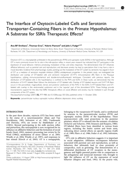 The Interface of Oxytocin-Labeled Cells and Serotonin Transporter-Containing Fibers in the Primate Hypothalamus: a Substrate for Ssris Therapeutic Effects?