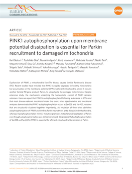 PINK1 Autophosphorylation Upon Membrane Potential Dissipation Is Essential for Parkin Recruitment to Damaged Mitochondria