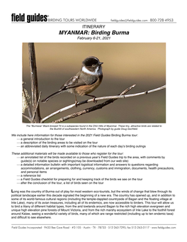Birding Burma February 6-21, 2021