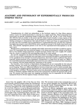 ANATOMY and PHYSIOLOGY of EXPERIMENTALLY PRODUCED STRIPED Tectal