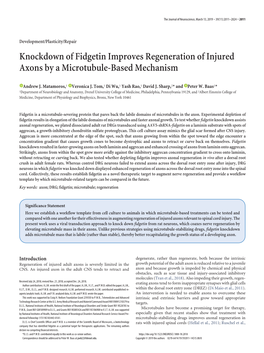 Knockdown of Fidgetin Improves Regeneration of Injured Axons by a Microtubule-Based Mechanism