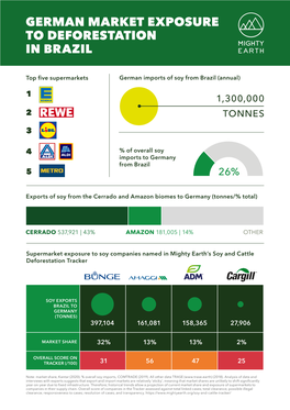 German Market Exposure to Deforestation in Brazil