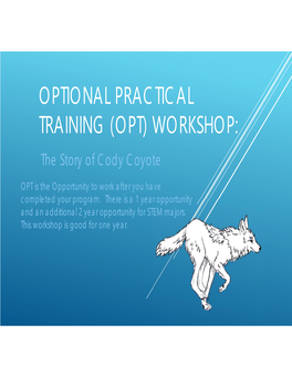 OPTIONAL PRACTICAL TRAINING (OPT) WORKSHOP: the Story of Cody Coyote