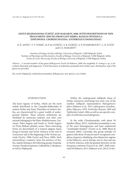 Genus Belbogosoma Ćurčić and Makarov, 2008, with Descriptions of New Troglobitic Species from East Serbia, Balkan Peninsula (Diplopoda: Chordeumatida: Anthroleucosomatidae)