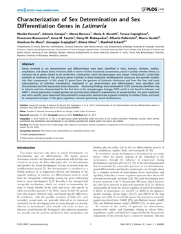 Characterization of Sex Determination and Sex Differentiation Genes in Latimeria