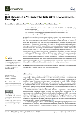 High-Resolution UAV Imagery for Field Olive (Olea Europaea L.) Phenotyping