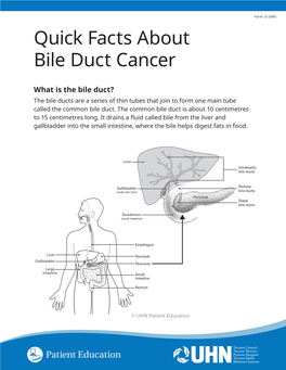 What Is Bile Duct Cancer? Bile Duct Cancer Can Start in Any Part of the Bile Ducts