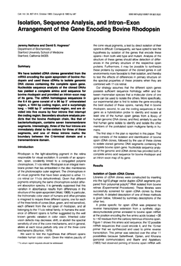 Isolation, Sequence Analysis, and Intron-Exon Arrangement of the Gene Encoding Bovine Rhodopsin