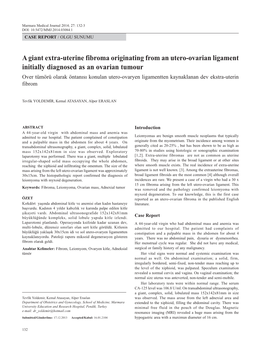 A Giant Extra-Uterine Fibroma Originating from an Utero-Ovarian