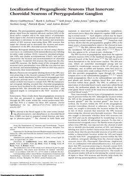 Localization of Preganglionic Neurons That Innervate Choroidal Neurons of Pterygopalatine Ganglion