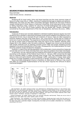 SECURING of BREAK-ENDANGERED TREE CROWNS Klaus Schröder Urban Forestry Service - Osnabrück