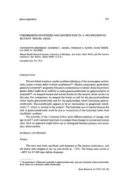 195 Cerebroside Synthesis and Hydrolysis in A