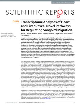 Transcriptome Analyses of Heart and Liver Reveal Novel Pathways for Regulating Songbird Migration Received: 28 August 2018 William J