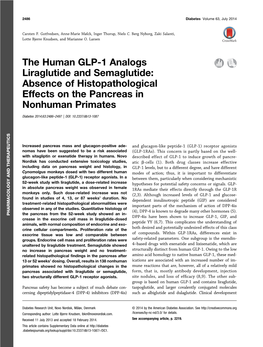 The Human GLP-1 Analogs Liraglutide and Semaglutide: Absence of Histopathological Effects on the Pancreas in Nonhuman Primates