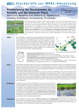 Renaturierung Der Flusstalmoore Der Recknitz Und Der Mittleren Trebel