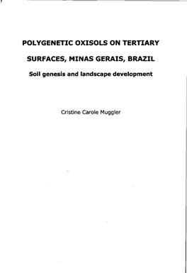 Polygenetic Oxisols on Tertiary Surfaces, Minas Gerais, Brazil