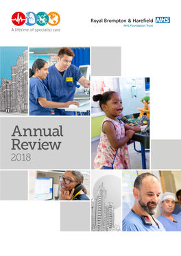 Annual Review 2018