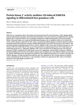 Protein Kinase C Activity Mediates LH-Induced Erbb/Erk Signaling in Differentiated Hen Granulosa Cells