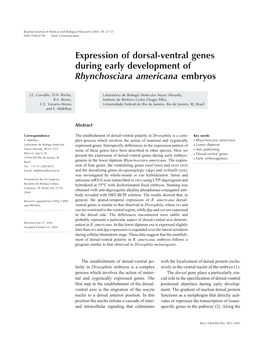 Expression of Dorsal-Ventral Genes During Early Development of Rhynchosciara Americana Embryos