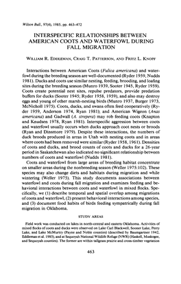 Interspecific Relationships Between American Coots and Waterfowl During Fall Migration