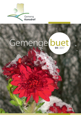 Gemengebuet 01 / 2018 : Annahmeschluss : 03.03.2018 Publikatioun : Ufank Abrëll