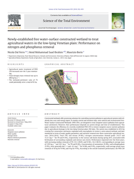 Newly-Established Free Water-Surface Constructed Wetland to Treat Agricultural Waters in the Low-Lying Venetian Plain: Performance on Nitrogen and Phosphorus Removal