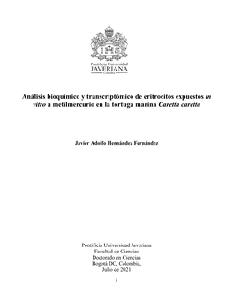 Análisis Bioquímico Y Transcriptómico De Eritrocitos Expuestos in Vitro a Metilmercurio En La Tortuga Marina Caretta Caretta