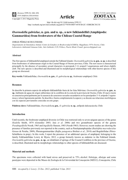 Osornodella Gabrielae, N. Gen. and N. Sp., a New Falklandellid (Amphipoda: Gammaridea) from Freshwaters of the Chilean Coastal Range