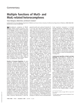 And Mutl-Related Heterocomplexes