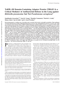 Aeruginosa Pseudomonas but Not Klebsiella Pneumoniae