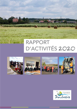 Rapport D'activités 2020 De La