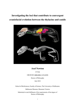 Investigating the Loci That Contribute to Convergent Craniofacial Evolution Between the Thylacine and Canids