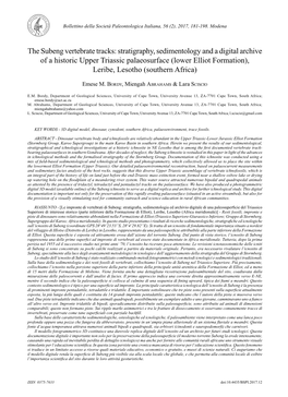 The Subeng Vertebrate Tracks: Stratigraphy, Sedimentology and A