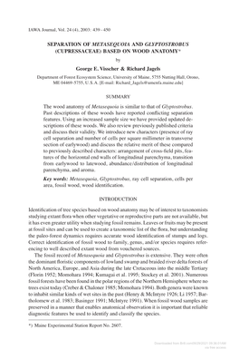 SEPARATION of METASEQUOIA and GLYPTOSTROBUS (CUPRESSACEAE) BASED on WOOD ANATOMY* by George E