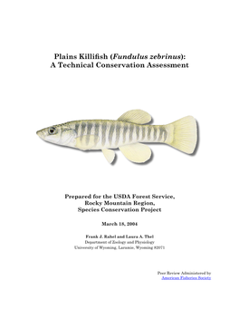 Plains Killifish (Fundulus Zebrinus): a Technical Conservation Assessment