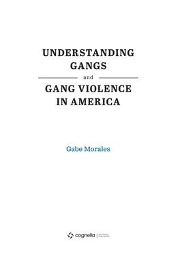 Understanding Gangs Gang Violence in America