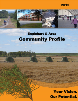 Englehart and Area Community Profile 2011
