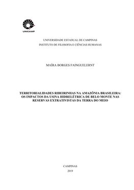 Maíra Borges Fainguelernt Territorialidades Ribeirinhas Na Amazônia Brasileira