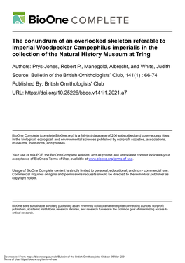 The Conundrum of an Overlooked Skeleton Referable to Imperial Woodpecker Campephilus Imperialis in the Collection of the Natural History Museum at Tring