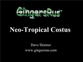 Neo-Tropical Costus