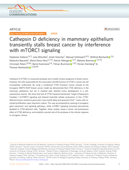 Cathepsin D Deficiency in Mammary Epithelium Transiently Stalls Breast