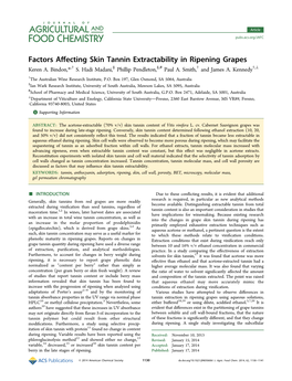 Factors Affecting Skin Tannin Extractability in Ripening Grapes