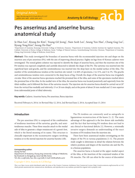 Pes Anserinus and Anserine Bursa: Anatomical Study